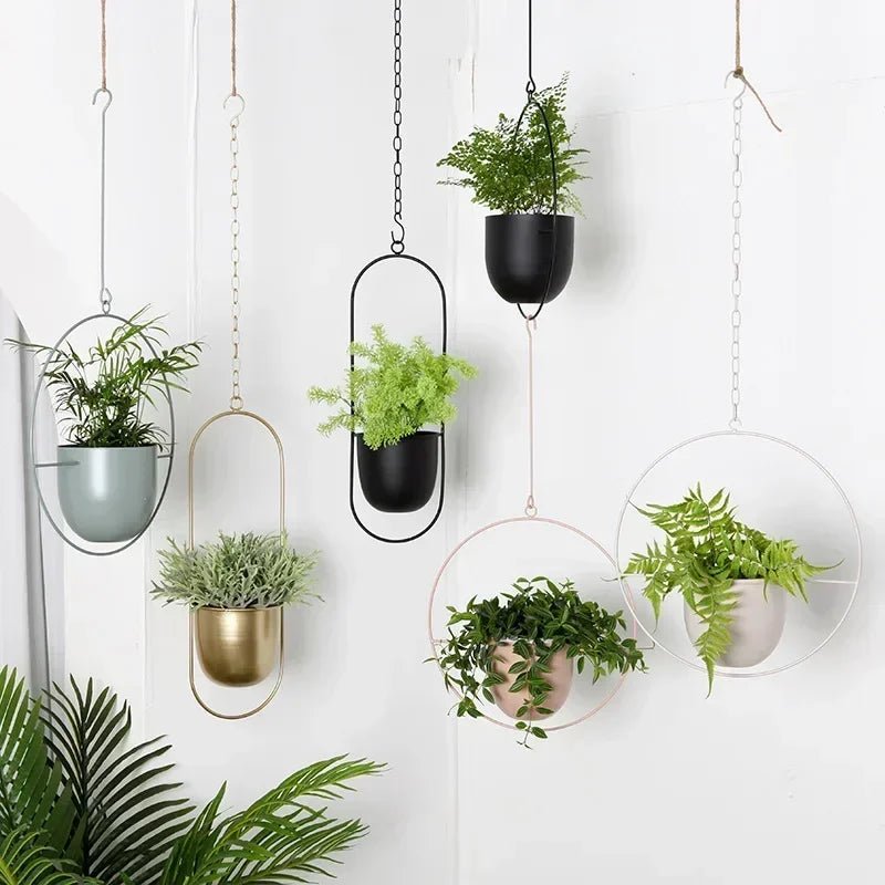 Minimalist Wall Plant Hanger - Space-Saving Design for Indoor Plants