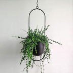 Minimalist Wall Plant Hanger - Space-Saving Design for Indoor Plants