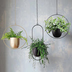 Minimalist Wall Plant Hanger - Space-Saving Design for Indoor Plants