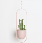 Minimalist Wall Plant Hanger - Space-Saving Design for Indoor Plants