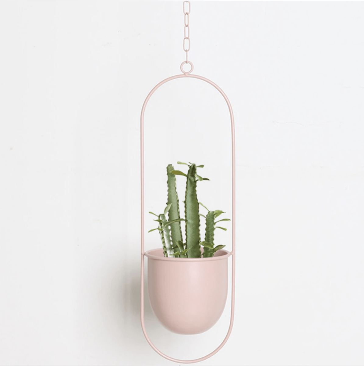 Minimalist Wall Plant Hanger - Space-Saving Design for Indoor Plants