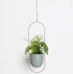 Minimalist Wall Plant Hanger - Space-Saving Design for Indoor Plants