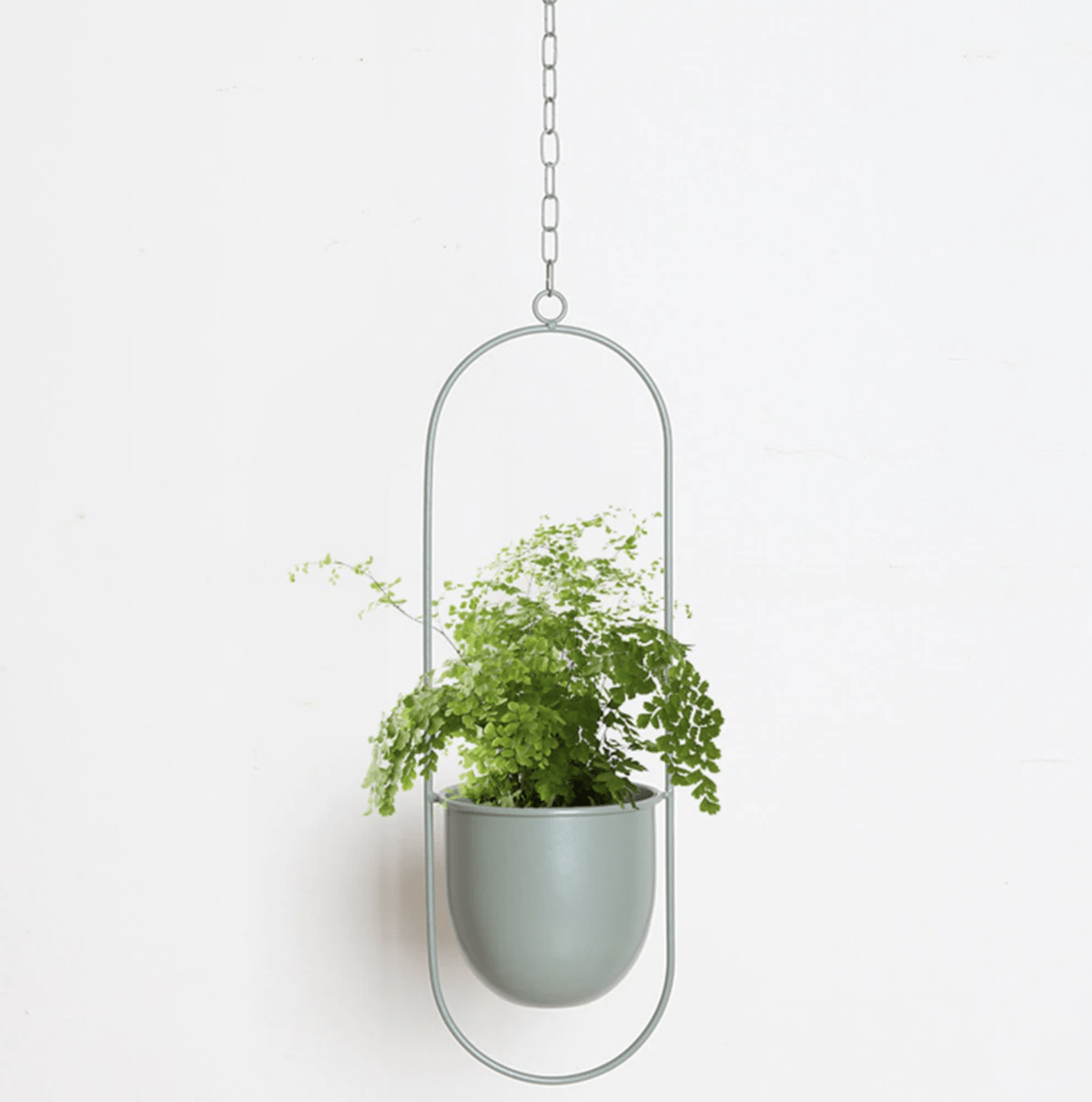 Minimalist Wall Plant Hanger - Space-Saving Design for Indoor Plants