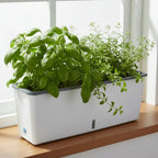 Self-Watering Planter Box for Indoor Herbs – Green Garden System