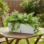 Self-Watering Planter Box for Indoor Herbs – Green Garden System