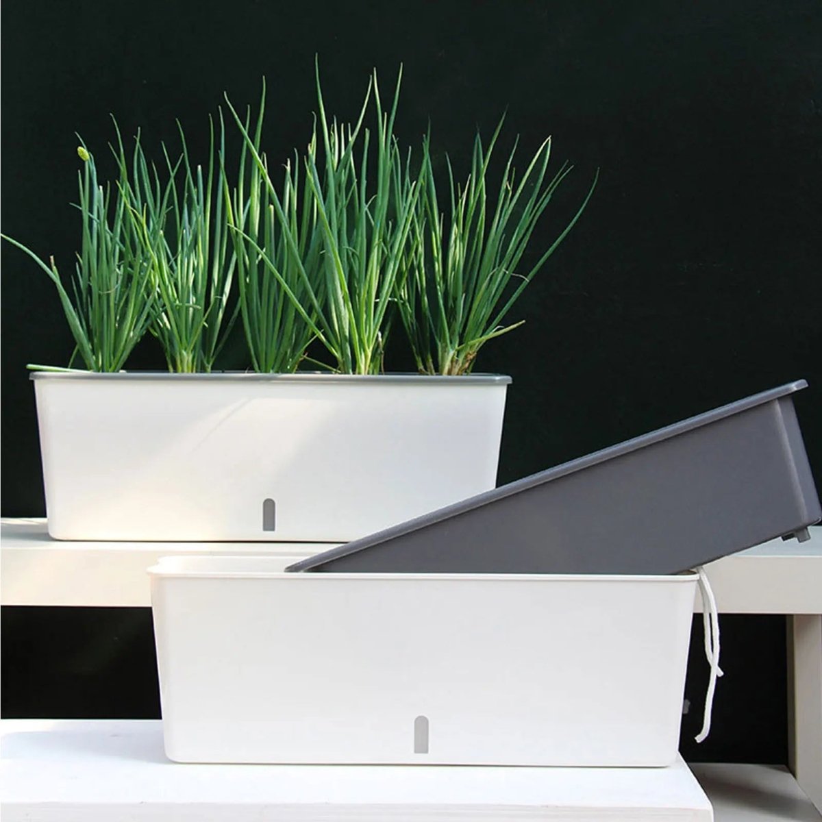 Self-Watering Planter Box for Indoor Herbs – Green Garden System