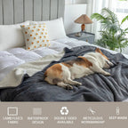 CozyGuard - Ultimate Waterproof Pet Blanket