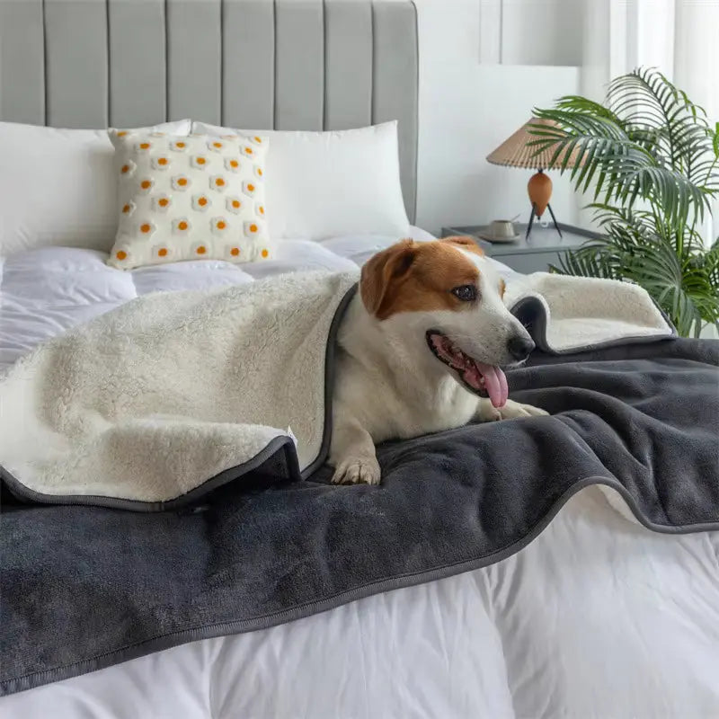 CozyGuard - Ultimate Waterproof Pet Blanket