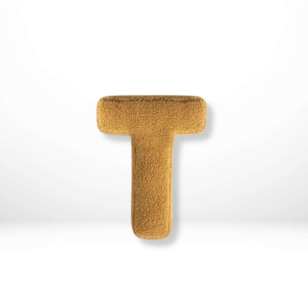 Decorative Throw Pillow with Alphabet Letter Design