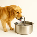 Automatic Stainless Steel Drinking Bowl for Pets - Water Fountain