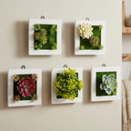 Wall Art with 5 Faux Plants in Decorative Frame