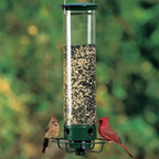 Squirrel-Resistant Avian Feeder with Spinning Defense