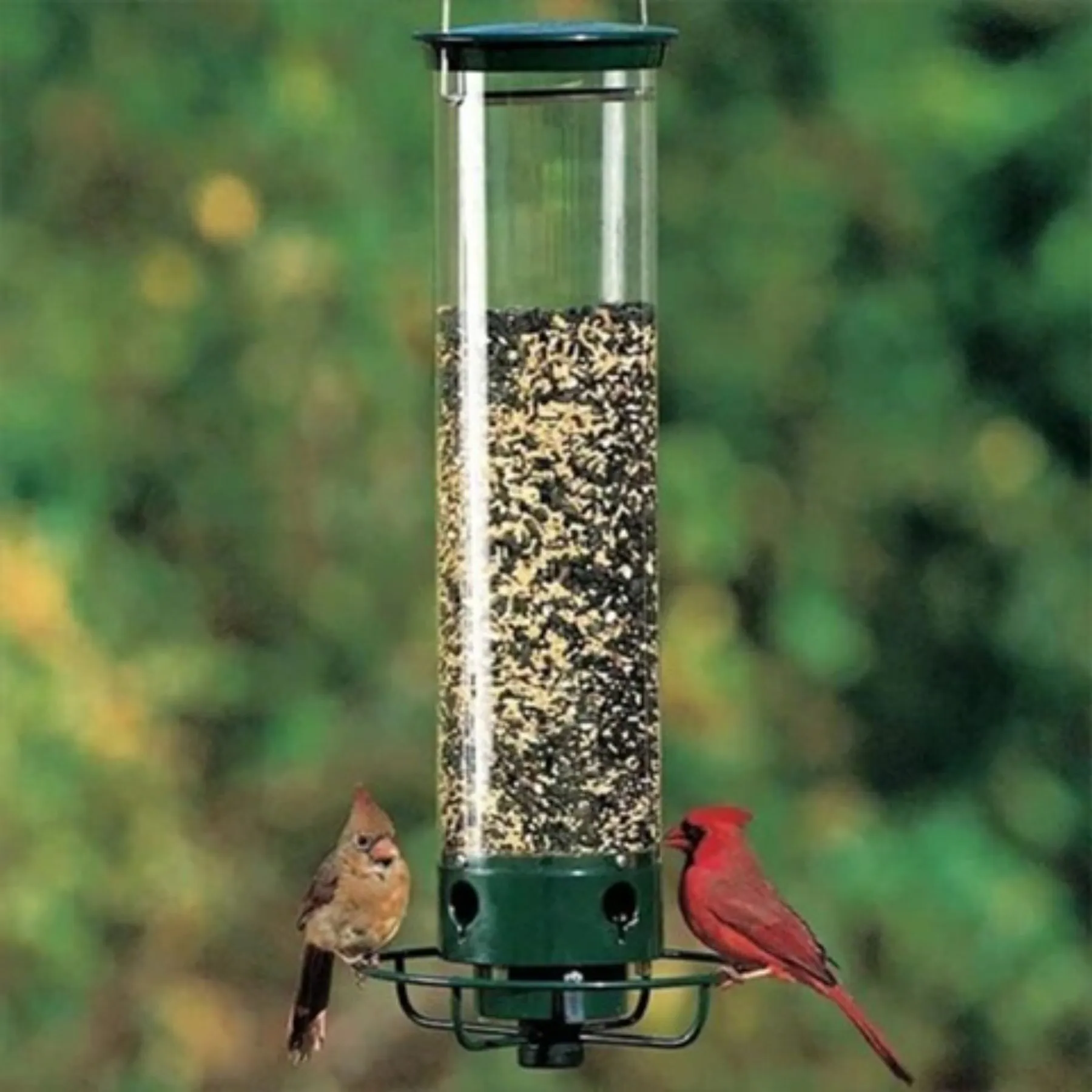 Squirrel-Resistant Avian Feeder with Spinning Defense