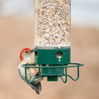 Squirrel-Resistant Avian Feeder with Spinning Defense