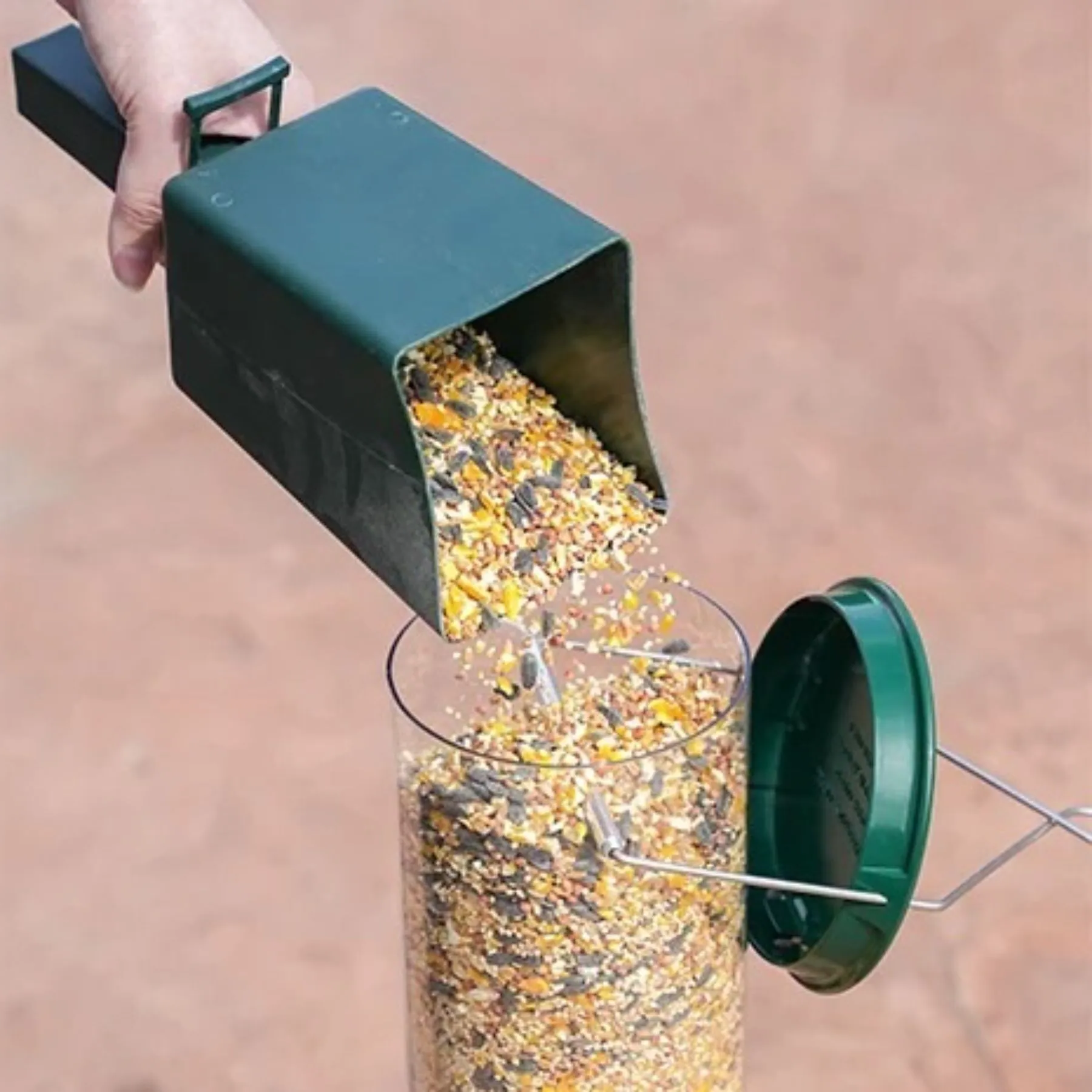 Squirrel-Resistant Avian Feeder with Spinning Defense