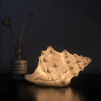 Coastal Seashell Night Lamp – Relaxing Warm White Light for Ambiance