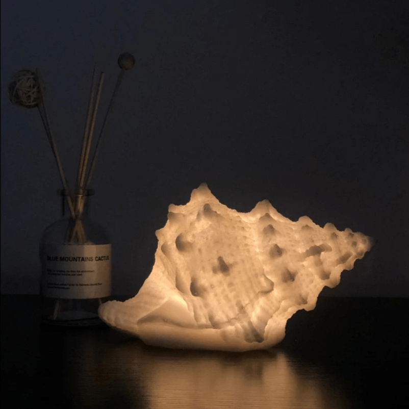 Coastal Seashell Night Lamp – Relaxing Warm White Light for Ambiance
