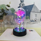 Romantic Decorative LED Table Lamp with Rose Glass Dome