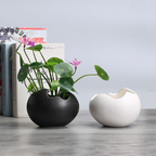 ThriveSmart Ceramic Planter