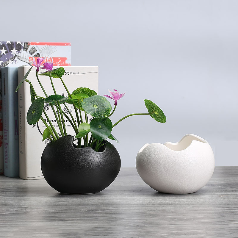 ThriveSmart Ceramic Planter