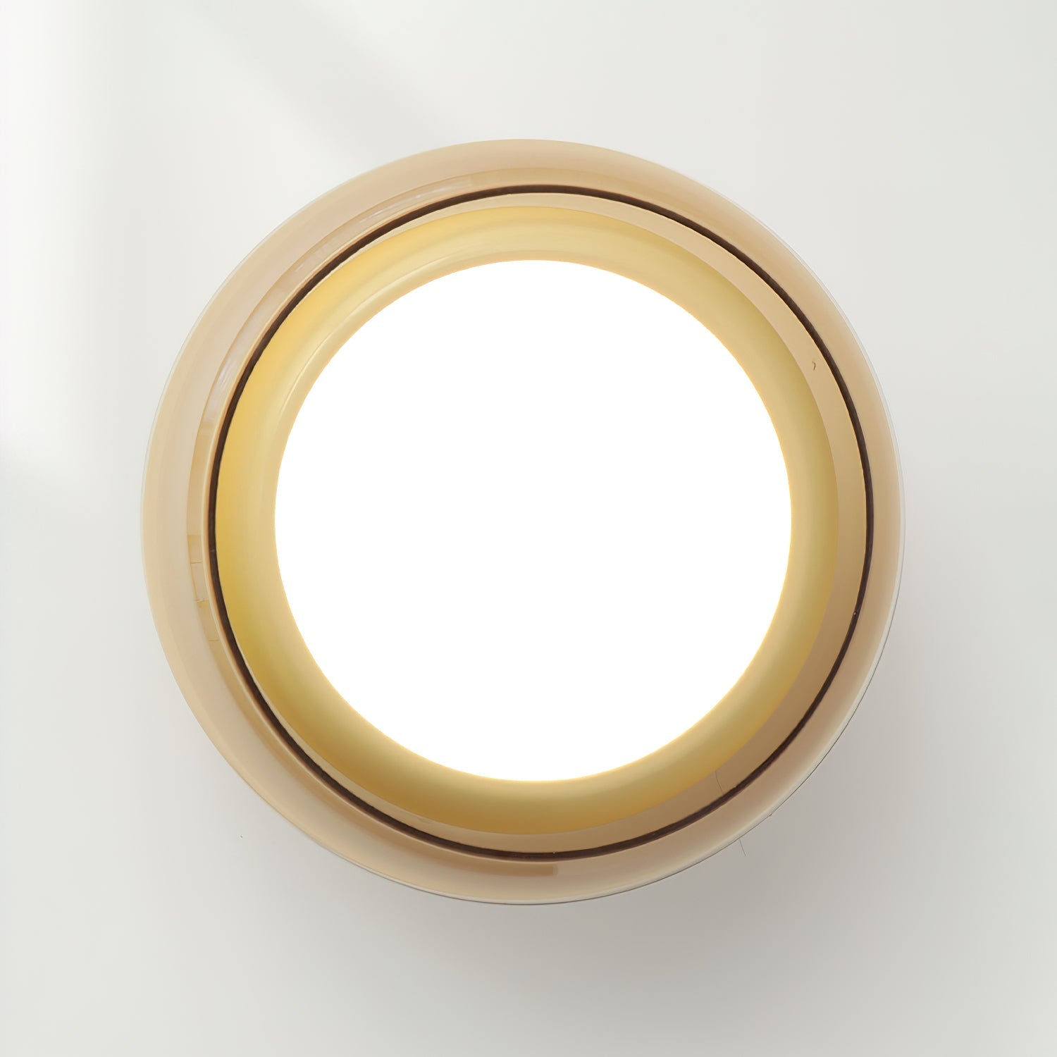 LED Indoor Ceiling Light – Retro Flush Mount Glass Fixture for June