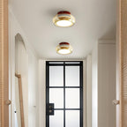 LED Indoor Ceiling Light – Retro Flush Mount Glass Fixture for June