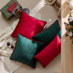 Accent Pillow Velvet Contrast Piping & Hidden Zipper