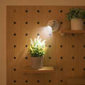 Accent Spotlight Adjustable Dimmable Remote Control USB Or AA