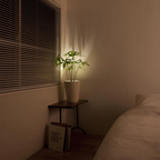 Accent Spotlight Adjustable Dimmable Remote Control USB Or AA
