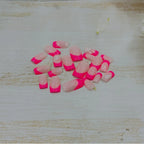 Acrylic Nail Art Kit Floral Accents Easy Application