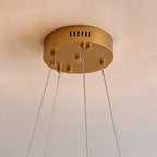 Adjustable Energy-Efficient LED Glass & Metal Chandelier