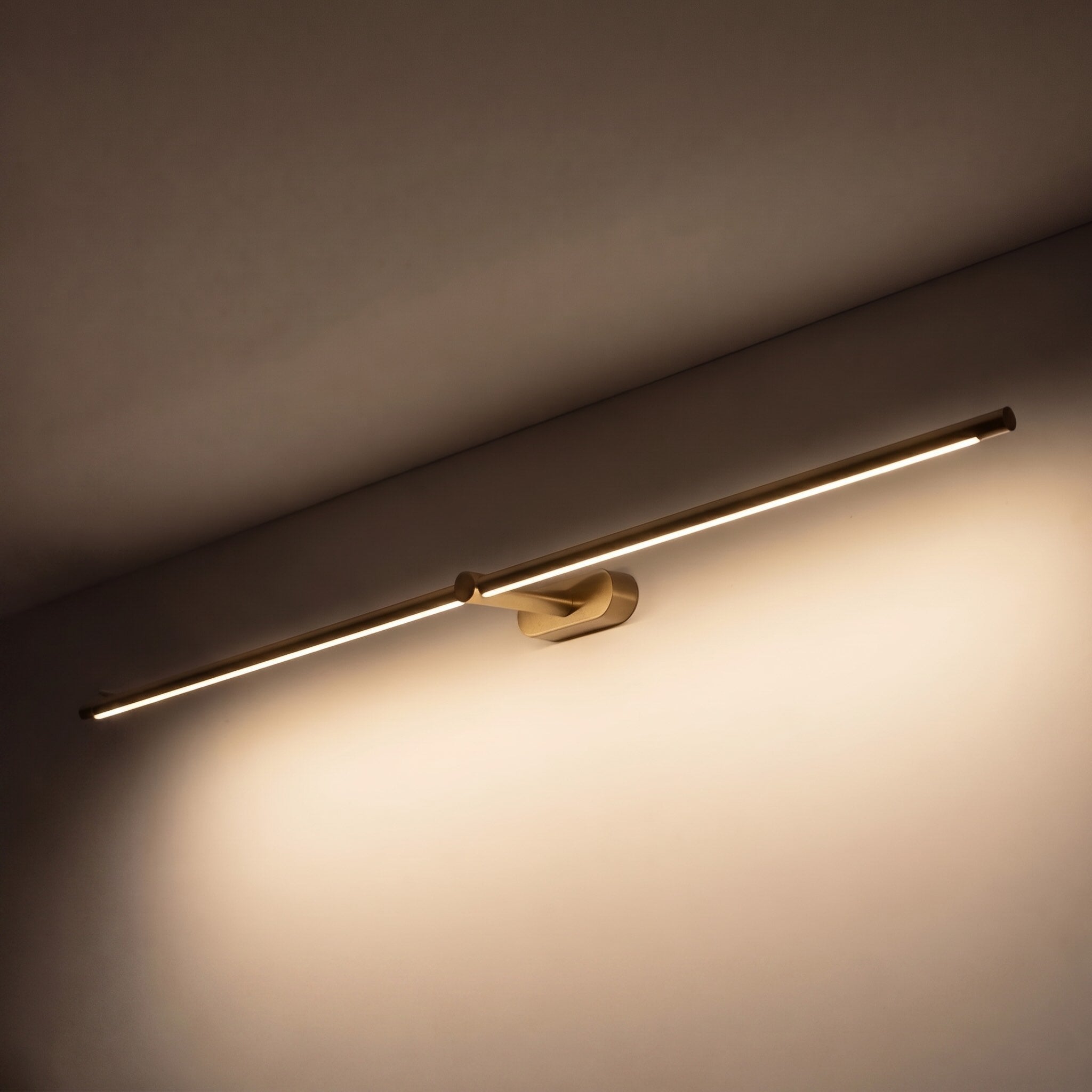 Adjustable Hardwired LED Wall Sconce