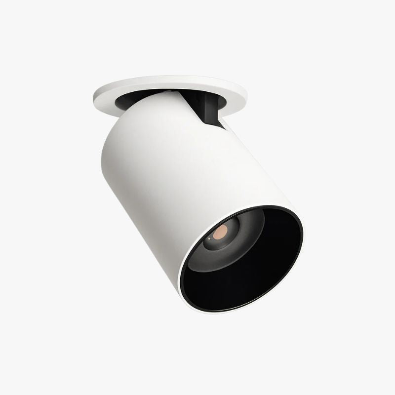 Adjustable Head 12W Metal LED Spotlight