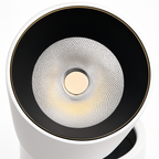Adjustable Head 12W Metal LED Spotlight