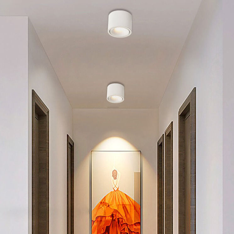 Adjustable Integrated LED Aluminum Flush Mount Ceiling Light (Dual Voltage)
