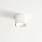 Adjustable Integrated LED Aluminum Flush Mount Ceiling Light (Dual Voltage)