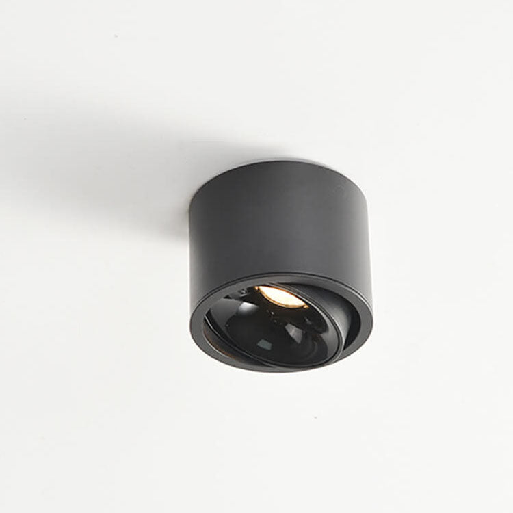 Adjustable Integrated LED Aluminum Flush Mount Ceiling Light (Dual Voltage)