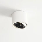 Adjustable Integrated LED Aluminum Flush Mount Ceiling Light (Dual Voltage)