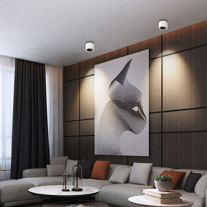 Adjustable Integrated LED Aluminum Flush Mount Ceiling Light (Dual Voltage)