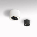 Adjustable Integrated LED Aluminum Flush Mount Ceiling Light (Dual Voltage)