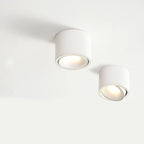 Adjustable Integrated LED Aluminum Flush Mount Ceiling Light (Dual Voltage)