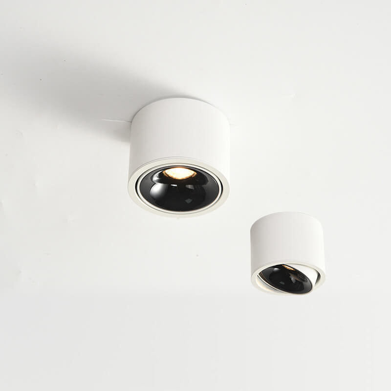 Adjustable Integrated LED Aluminum Flush Mount Ceiling Light (Dual Voltage)