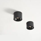 Adjustable Integrated LED Aluminum Flush Mount Ceiling Light (Dual Voltage)