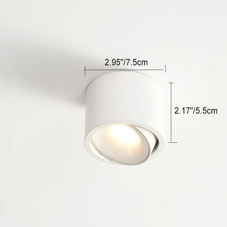 Adjustable Integrated LED Aluminum Flush Mount Ceiling Light (Dual Voltage)
