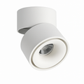 Adjustable Matte Aluminum Ceiling Spotlight (Surface-Mount)