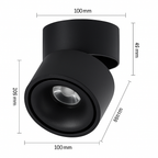 Adjustable Matte Aluminum Ceiling Spotlight (Surface-Mount)