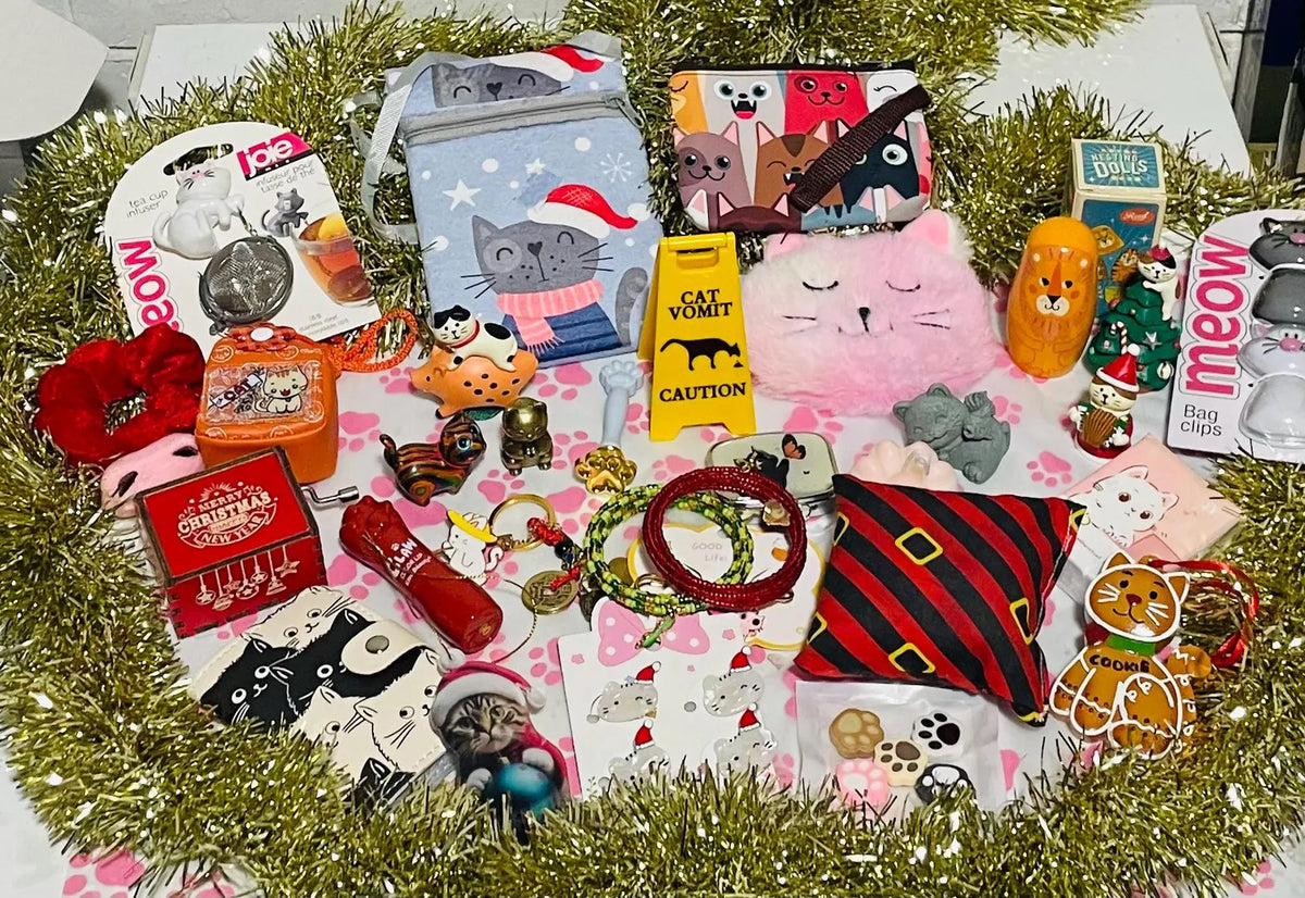 Advent Calendar Cat Lover 24 Sealed Surprise Bags