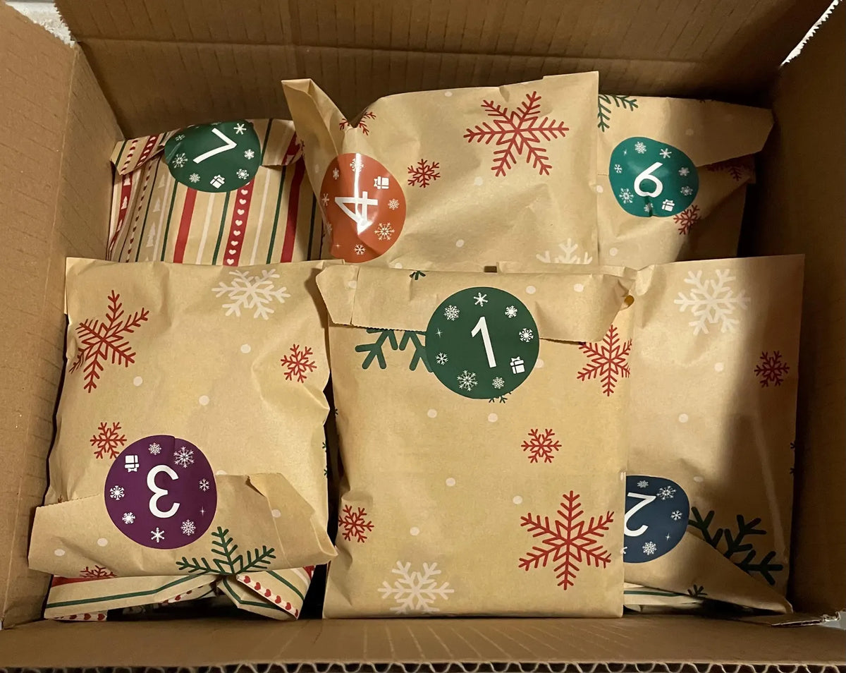Advent Calendar Cat Lover 24 Sealed Surprise Bags