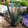 Agave Sculpture Handcrafted Weather-Resistant Steel Indoor & Outdoor