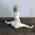 Air Plant Planter Resin Ghost Design Compact